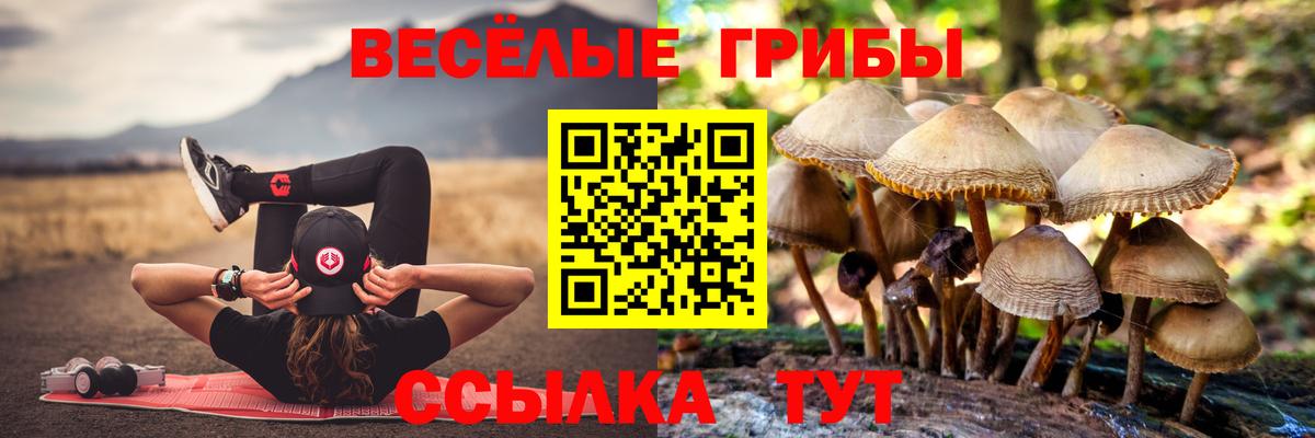 Псилоцибиновые грибы мицелий Великий Новгород