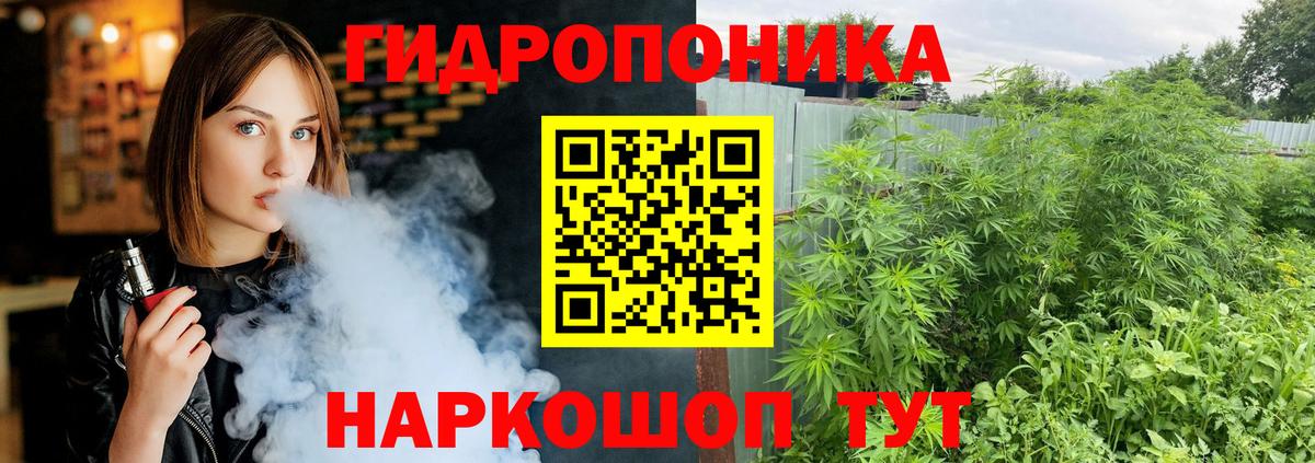 Бошки марихуана Bruce Banner Великий Новгород